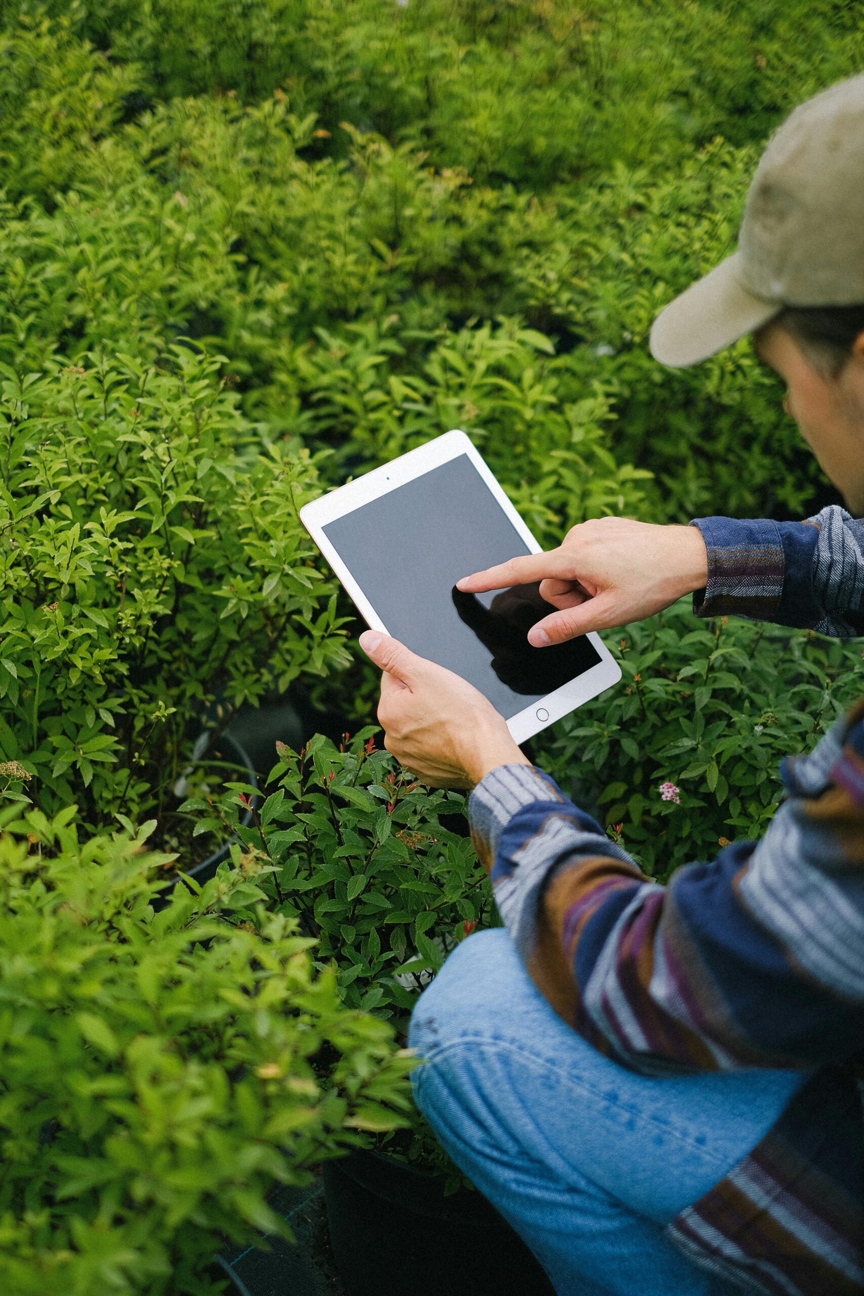 A lush green field with advanced farming technology