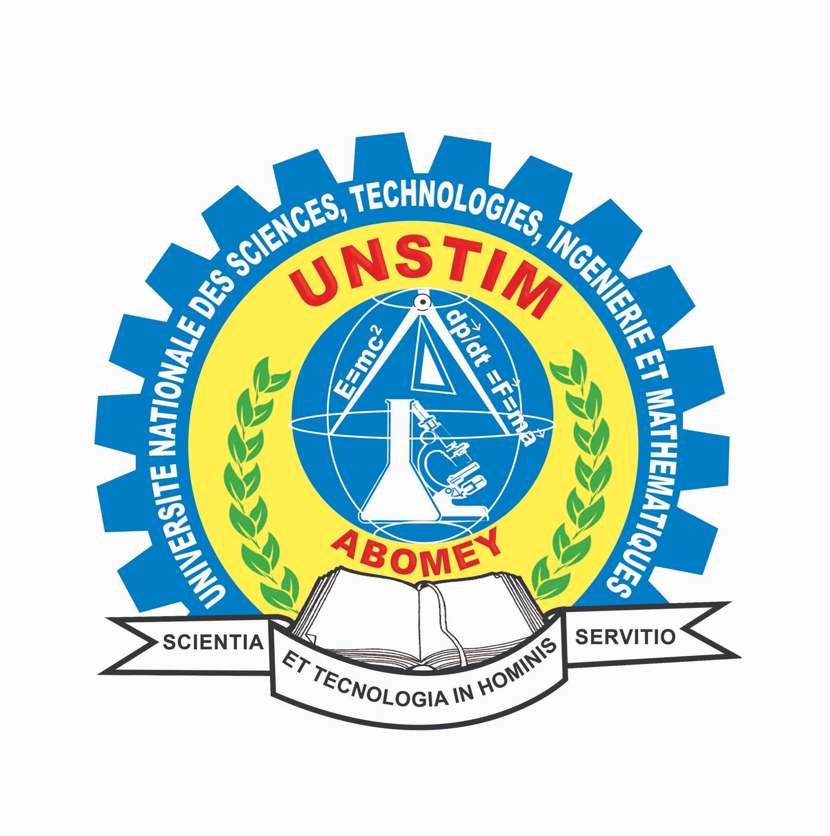 UNSTIM Logo